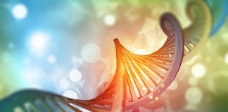 Pour Préserver le Code Divin